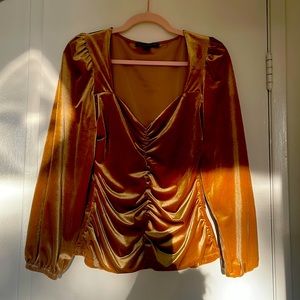 Blouse.  Velvet